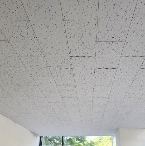 이미지가 없습니다.